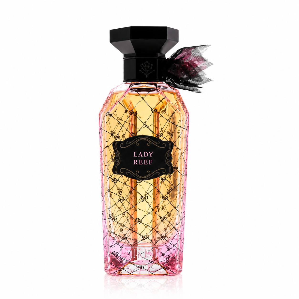 Reef –  Lady