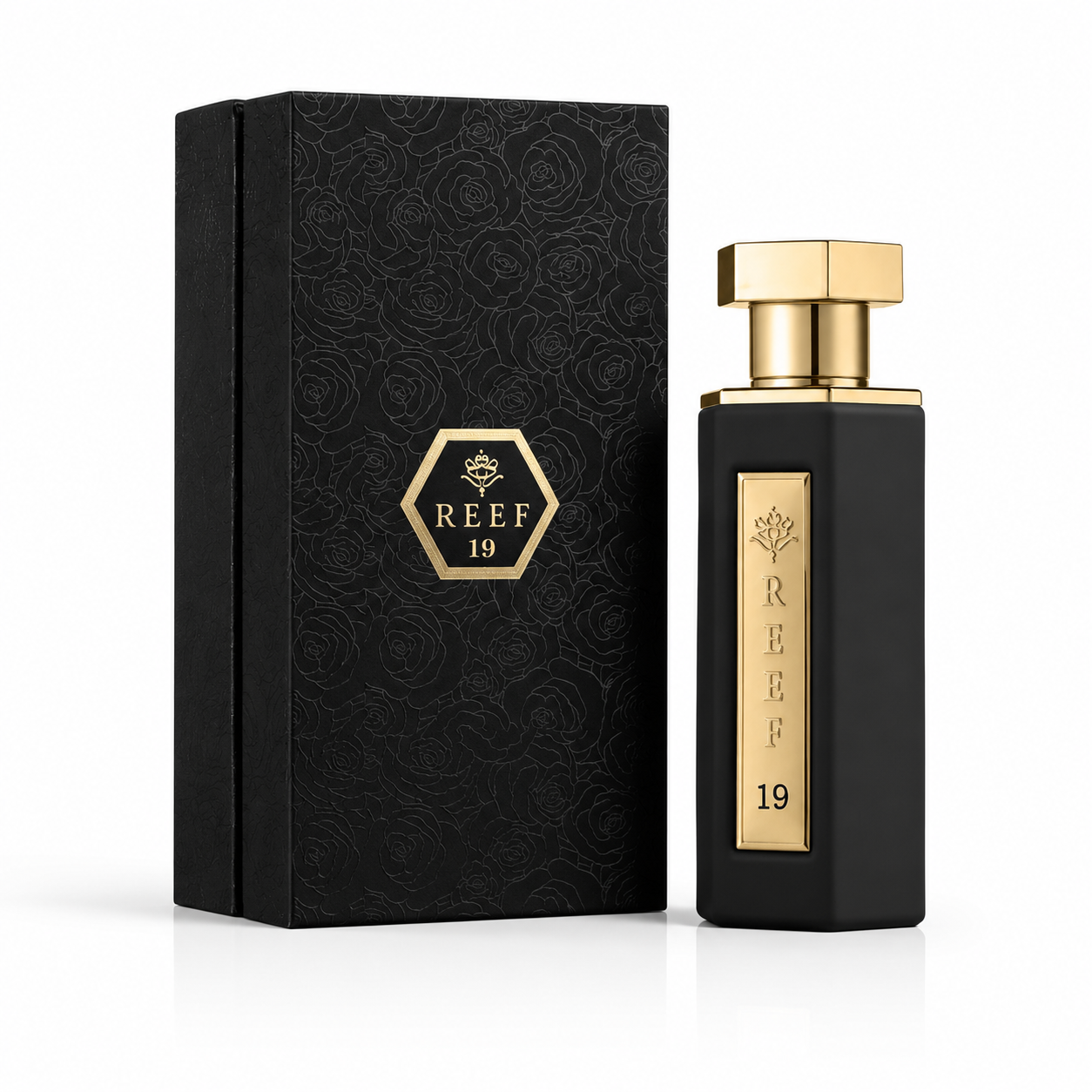 Reef – 19